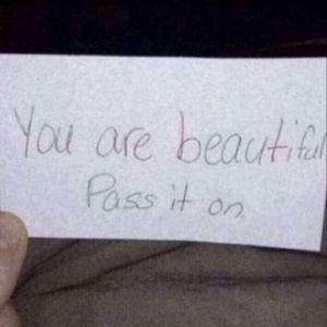 Meet your Posher, Cheyenne